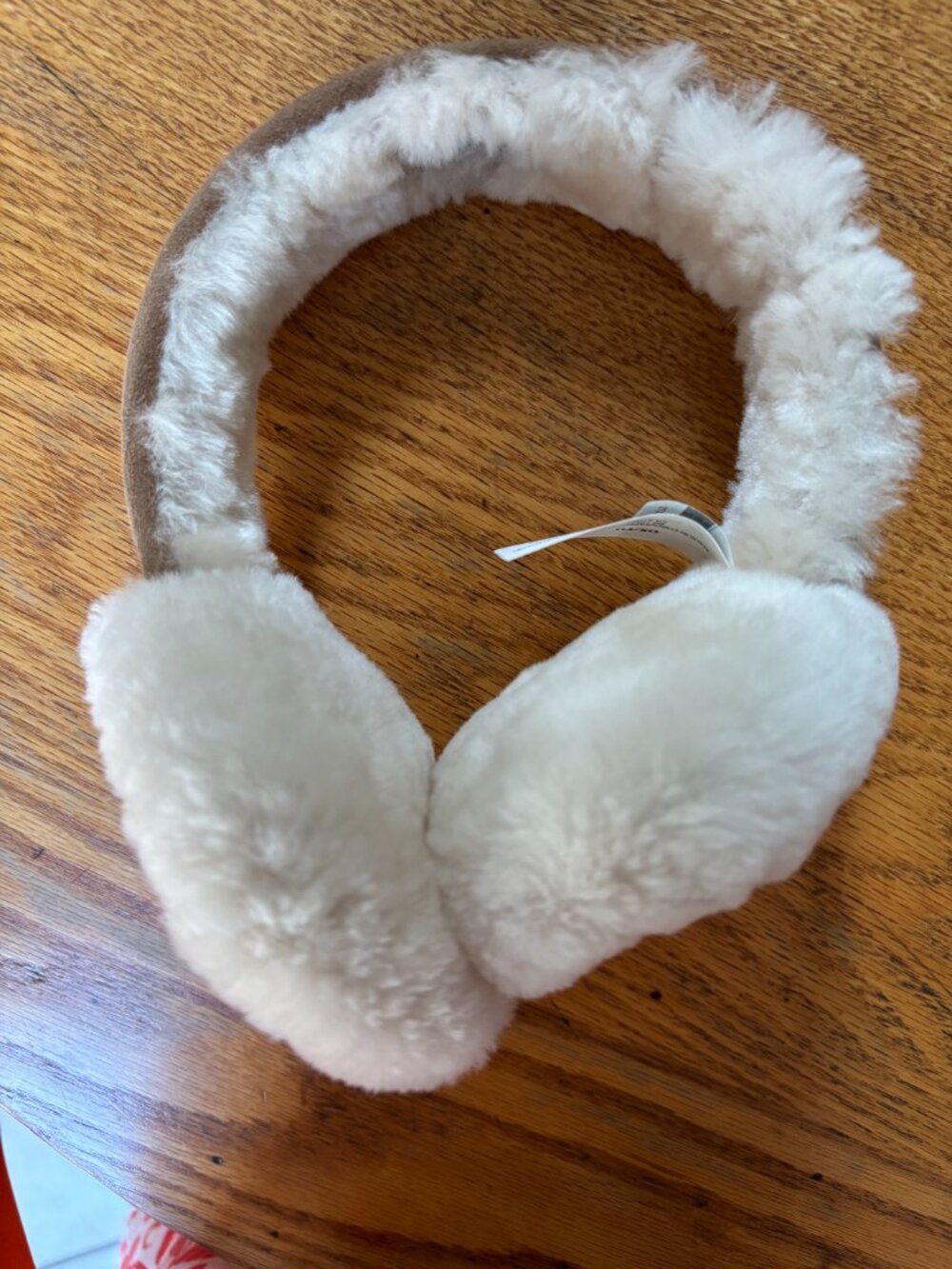 Worn Once: Ugg Earmuffs